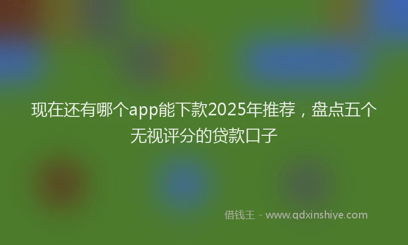 现在还有哪个app能下款2025年推荐，盘点五个无视评分的贷款口子