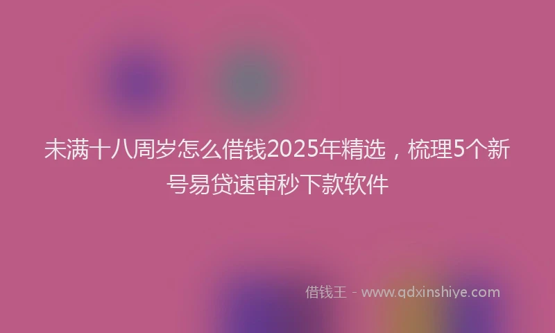 未满十八周岁怎么借钱2025年精选，梳理5个新号易贷速审秒下款软件