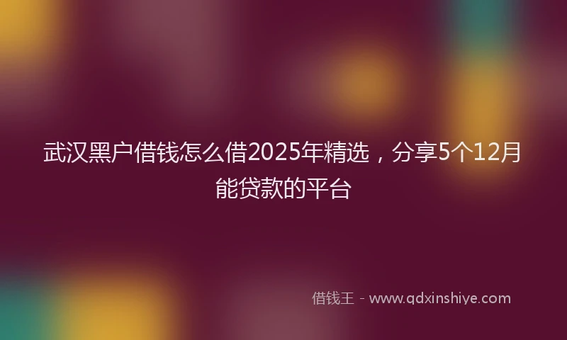 武汉黑户借钱怎么借2025年精选，分享5个12月能贷款的平台