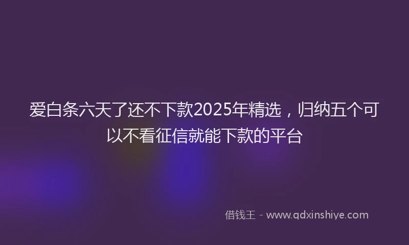 爱白条六天了还不下款2025年精选，归纳五个可以不看征信就能下款的平台