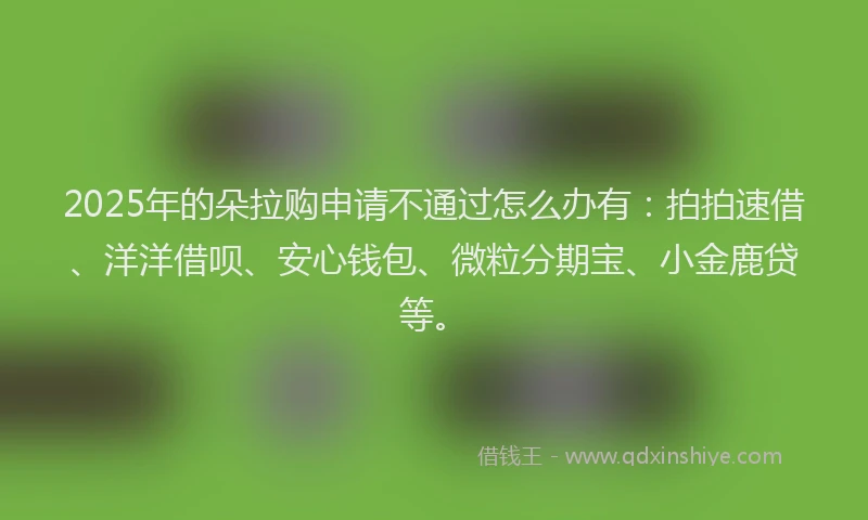 2025年的朵拉购申请不通过怎么办有：拍拍速借、洋洋借呗、安心钱包、微粒分期宝、小金鹿贷等。
