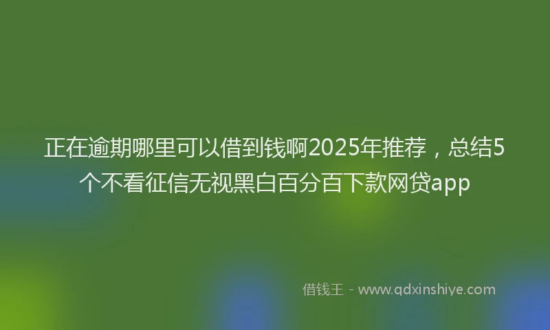 正在逾期哪里可以借到钱啊2025年推荐，总结5个不看征信无视黑白百分百下款网贷app