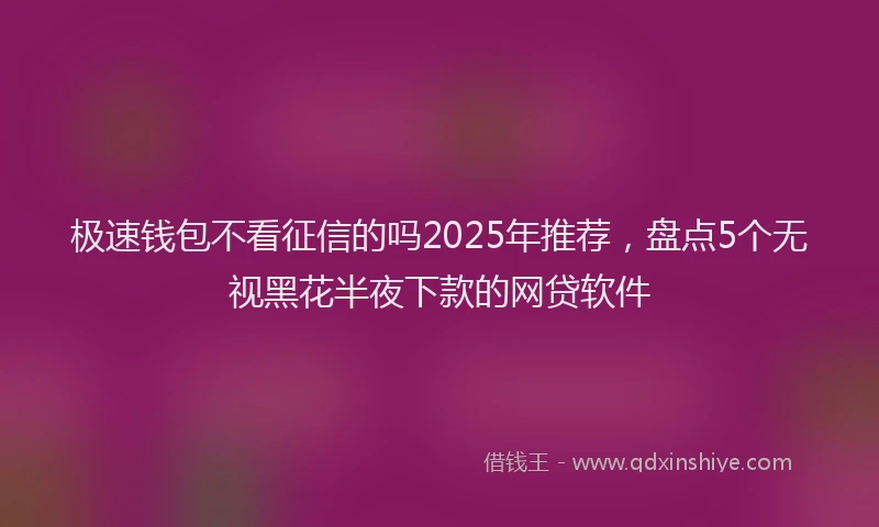 极速钱包不看征信的吗2025年推荐，盘点5个无视黑花半夜下款的网贷软件