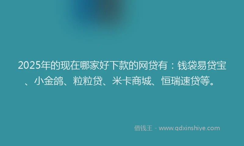 2025年的现在哪家好下款的网贷有：钱袋易贷宝、小金鸽、粒粒贷、米卡商城、恒瑞速贷等。