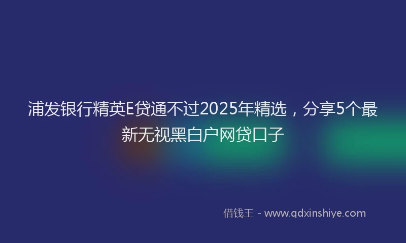 浦发银行精英E贷通不过2025年精选，分享5个最新无视黑白户网贷口子