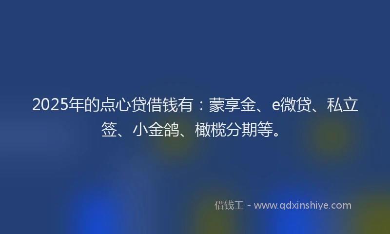 2025年的点心贷借钱有：蒙享金、e微贷、私立签、小金鸽、橄榄分期等。