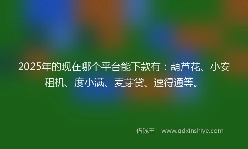 2025年的现在哪个平台能下款有：葫芦花、小安租机、度小满、麦芽贷、速得通等。