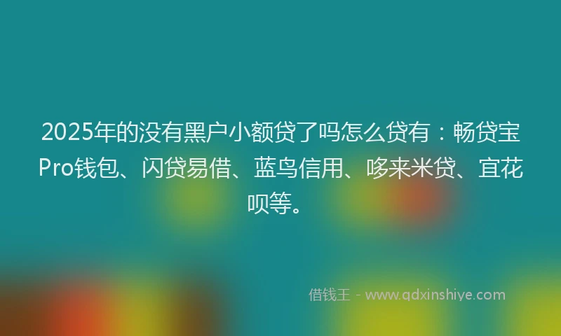 2025年的没有黑户小额贷了吗怎么贷有：畅贷宝Pro钱包、闪贷易借、蓝鸟信用、哆来米贷、宜花呗等。