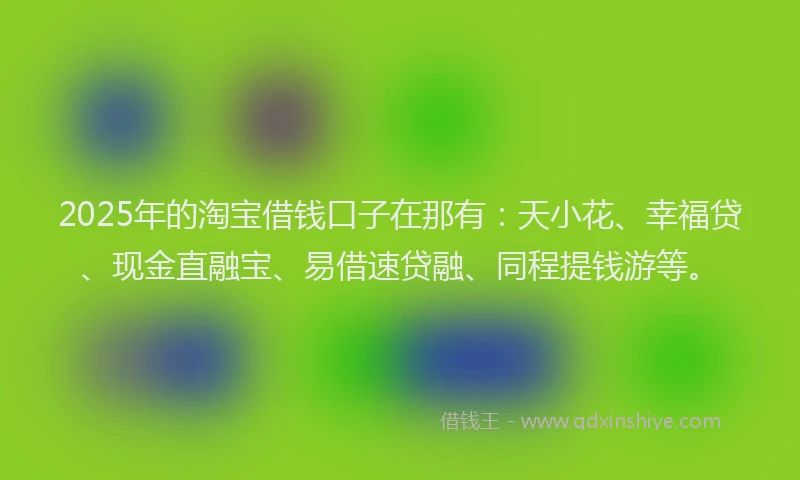 2025年的淘宝借钱口子在那有：天小花、幸福贷、现金直融宝、易借速贷融、同程提钱游等。