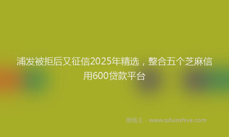 浦发被拒后又征信2025年精选，整合五个芝麻信用600贷款平台