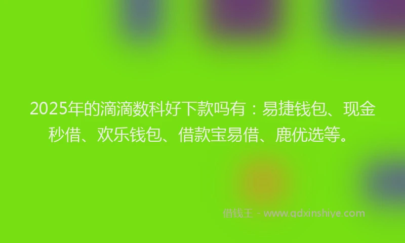 2025年的滴滴数科好下款吗有：易捷钱包、现金秒借、欢乐钱包、借款宝易借、鹿优选等。
