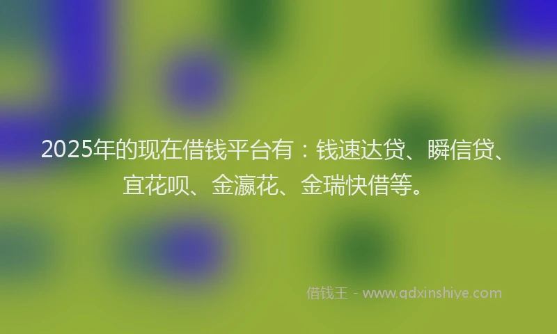 2025年的现在借钱平台有：钱速达贷、瞬信贷、宜花呗、金瀛花、金瑞快借等。