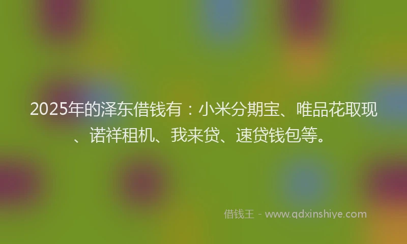 2025年的泽东借钱有：小米分期宝、唯品花取现、诺祥租机、我来贷、速贷钱包等。