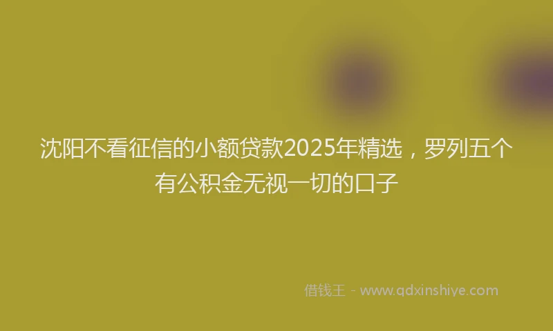 沈阳不看征信的小额贷款2025年精选，罗列五个有公积金无视一切的口子