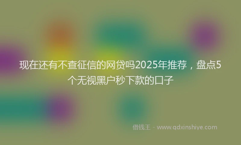 现在还有不查征信的网贷吗2025年推荐，盘点5个无视黑户秒下款的口子