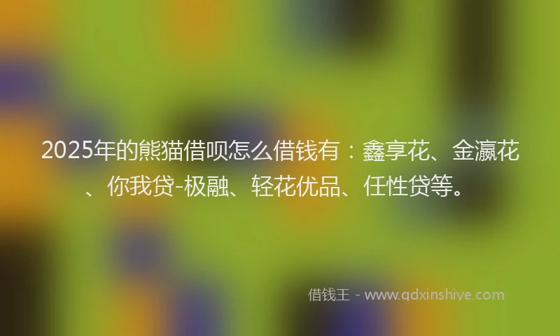 2025年的熊猫借呗怎么借钱有：鑫享花、金瀛花、你我贷-极融、轻花优品、任性贷等。