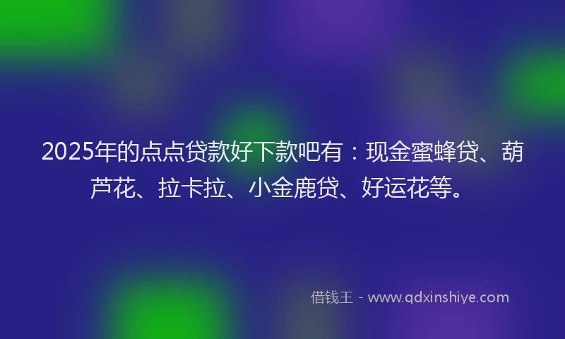 2025年的点点贷款好下款吧有：现金蜜蜂贷、葫芦花、拉卡拉、小金鹿贷、好运花等。