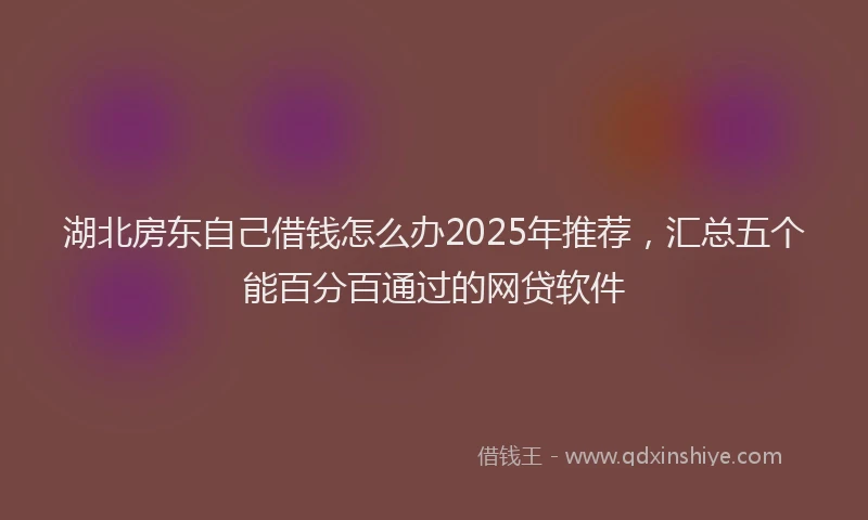湖北房东自己借钱怎么办2025年推荐，汇总五个能百分百通过的网贷软件