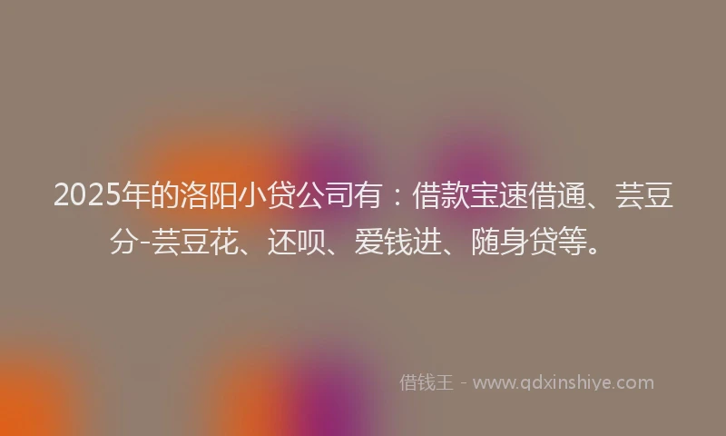 2025年的洛阳小贷公司有：借款宝速借通、芸豆分-芸豆花、还呗、爱钱进、随身贷等。