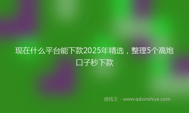 现在什么平台能下款2025年精选，整理5个高炮口子秒下款