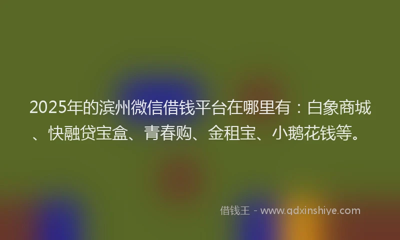 2025年的滨州微信借钱平台在哪里有：白象商城、快融贷宝盒、青春购、金租宝、小鹅花钱等。
