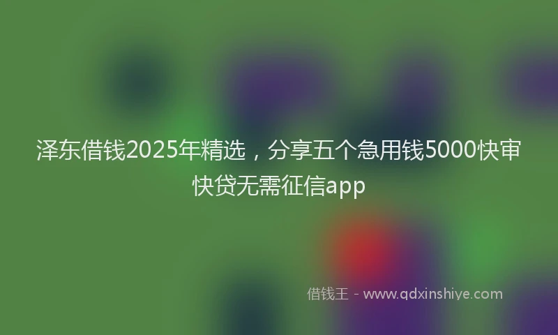 泽东借钱2025年精选，分享五个急用钱5000快审快贷无需征信app