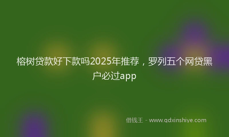 榕树贷款好下款吗2025年推荐，罗列五个网贷黑户必过app