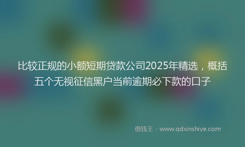比较正规的小额短期贷款公司2025年精选，概括五个无视征信黑户当前逾期必下款的口子