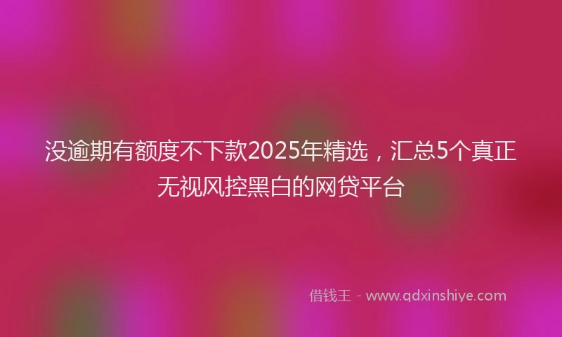 没逾期有额度不下款2025年精选，汇总5个真正无视风控黑白的网贷平台