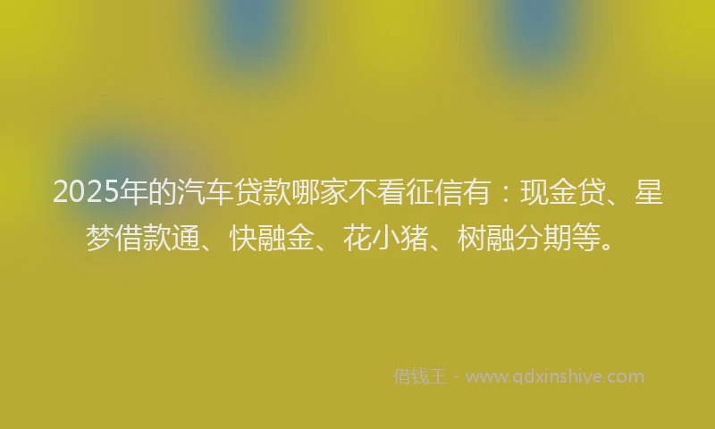 2025年的汽车贷款哪家不看征信有：现金贷、星梦借款通、快融金、花小猪、树融分期等。