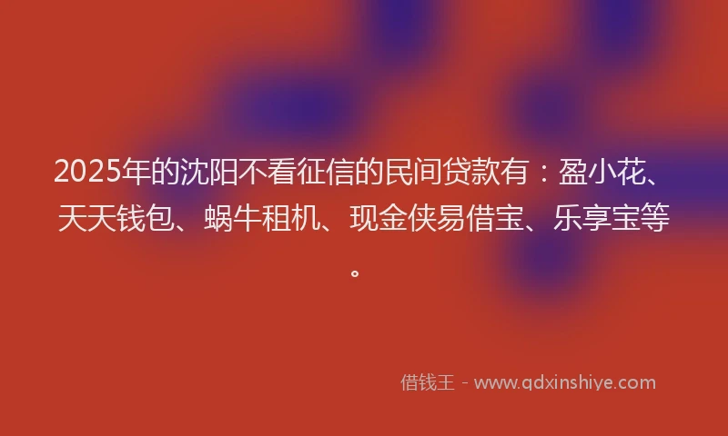 2025年的沈阳不看征信的民间贷款有：盈小花、天天钱包、蜗牛租机、现金侠易借宝、乐享宝等。