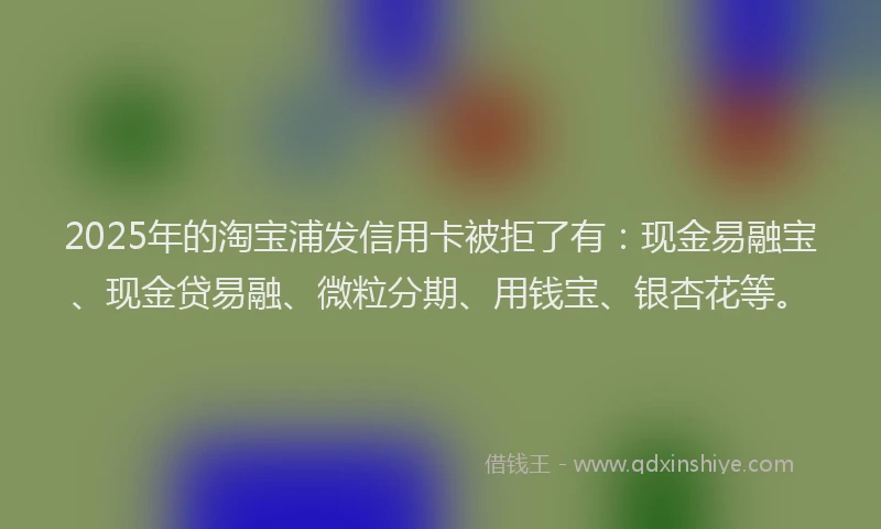 2025年的淘宝浦发信用卡被拒了有：现金易融宝、现金贷易融、微粒分期、用钱宝、银杏花等。