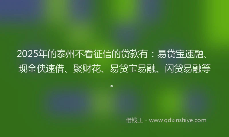 2025年的泰州不看征信的贷款有：易贷宝速融、现金侠速借、聚财花、易贷宝易融、闪贷易融等。