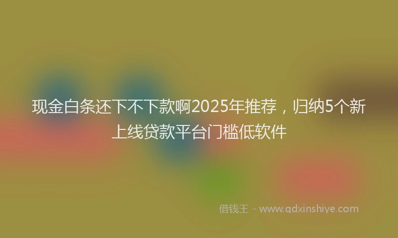 现金白条还下不下款啊2025年推荐，归纳5个新上线贷款平台门槛低软件