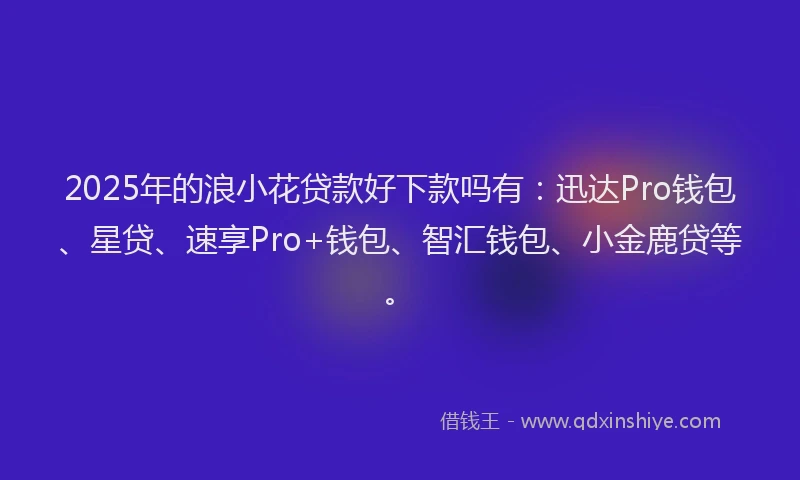 2025年的浪小花贷款好下款吗有：迅达Pro钱包、星贷、速享Pro+钱包、智汇钱包、小金鹿贷等。