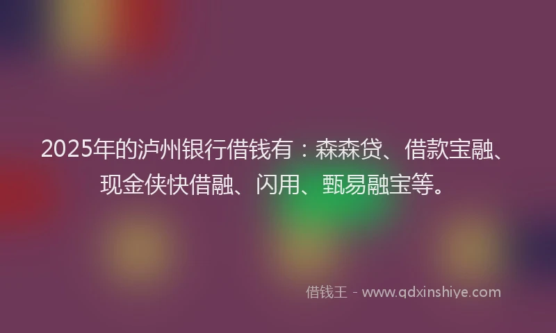 2025年的泸州银行借钱有：森森贷、借款宝融、现金侠快借融、闪用、甄易融宝等。