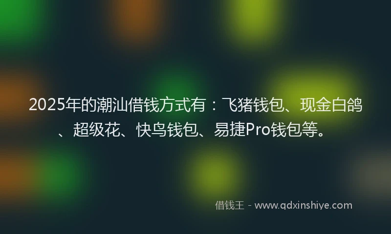 2025年的潮汕借钱方式有：飞猪钱包、现金白鸽、超级花、快鸟钱包、易捷Pro钱包等。