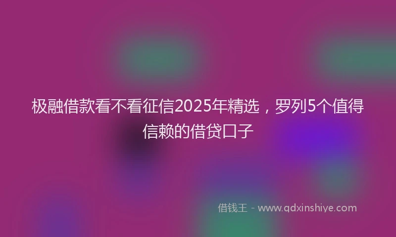 极融借款看不看征信2025年精选，罗列5个值得信赖的借贷口子