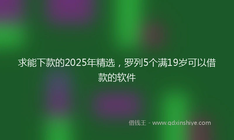求能下款的2025年精选，罗列5个满19岁可以借款的软件