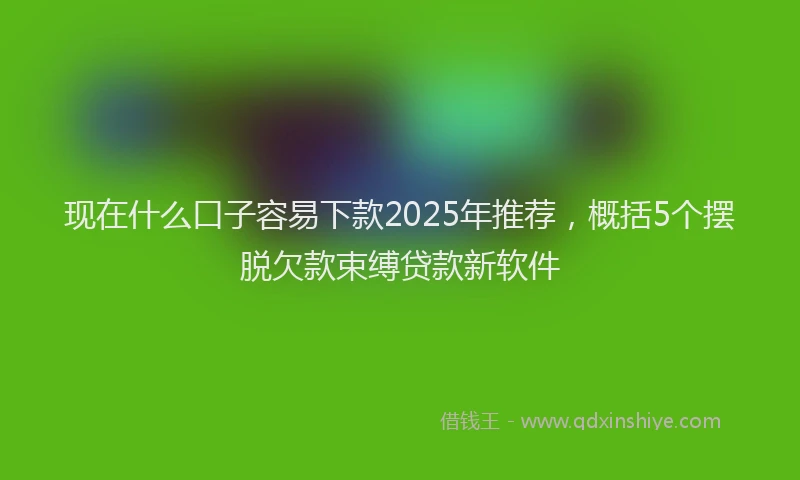 现在什么口子容易下款2025年推荐，概括5个摆脱欠款束缚贷款新软件