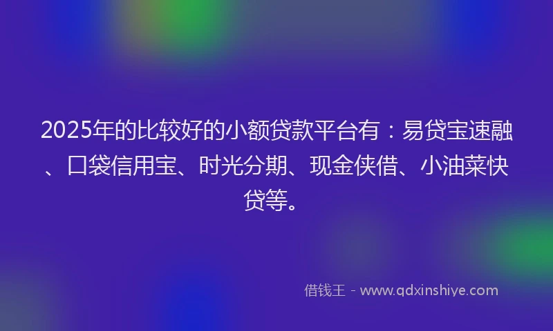 2025年的比较好的小额贷款平台有：易贷宝速融、口袋信用宝、时光分期、现金侠借、小油菜快贷等。