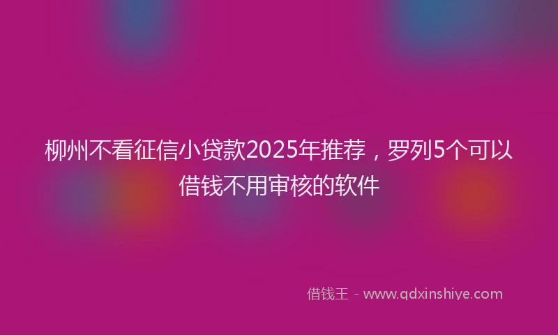 柳州不看征信小贷款2025年推荐，罗列5个可以借钱不用审核的软件