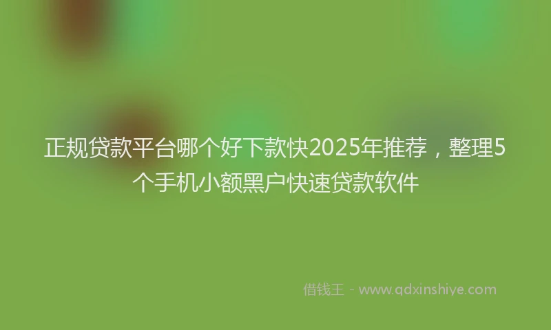正规贷款平台哪个好下款快2025年推荐，整理5个手机小额黑户快速贷款软件