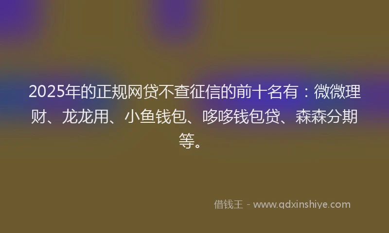 2025年的正规网贷不查征信的前十名有：微微理财、龙龙用、小鱼钱包、哆哆钱包贷、森森分期等。