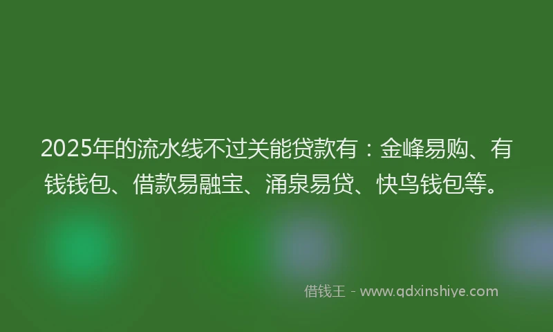 2025年的流水线不过关能贷款有：金峰易购、有钱钱包、借款易融宝、涌泉易贷、快鸟钱包等。