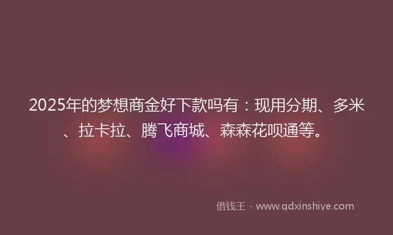 2025年的梦想商金好下款吗有：现用分期、多米、拉卡拉、腾飞商城、森森花呗通等。