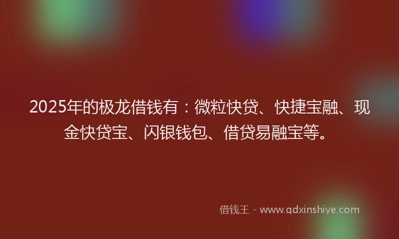 2025年的极龙借钱有：微粒快贷、快捷宝融、现金快贷宝、闪银钱包、借贷易融宝等。