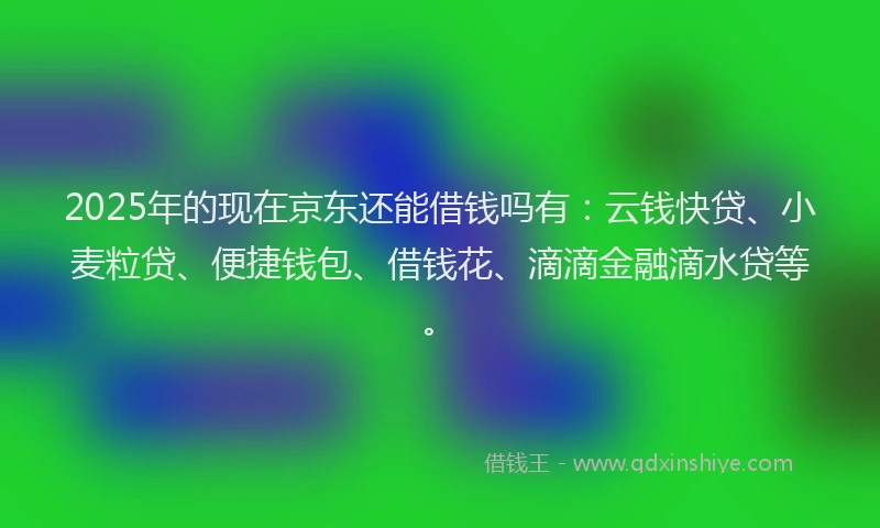 2025年的现在京东还能借钱吗有：云钱快贷、小麦粒贷、便捷钱包、借钱花、滴滴金融滴水贷等。