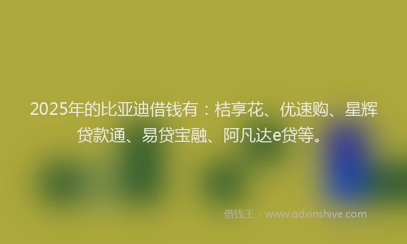 2025年的比亚迪借钱有：桔享花、优速购、星辉贷款通、易贷宝融、阿凡达e贷等。