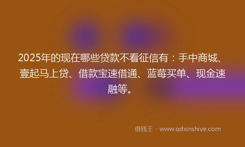 2025年的现在哪些贷款不看征信有：手中商城、壹起马上贷、借款宝速借通、蓝莓买单、现金速融等。